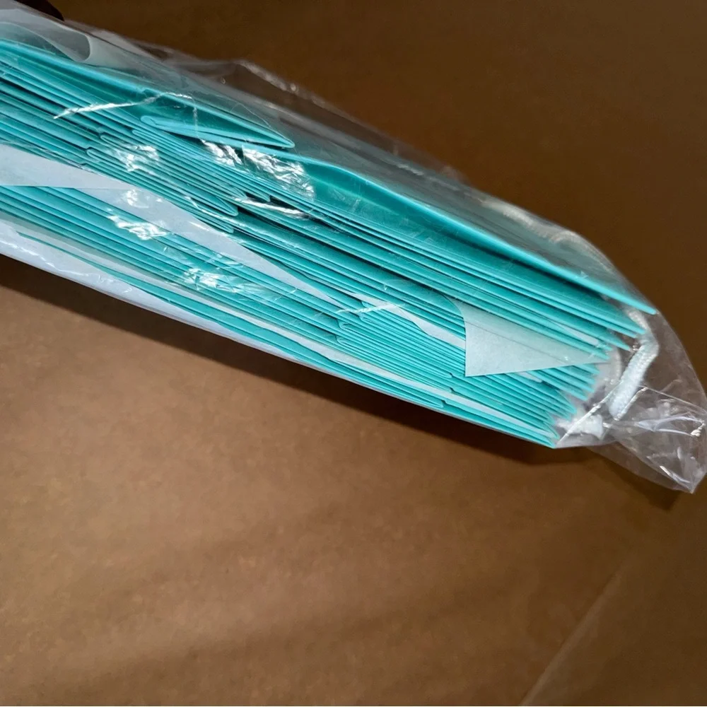 Tiffany & Co. Tiffany Blue Gift Bag